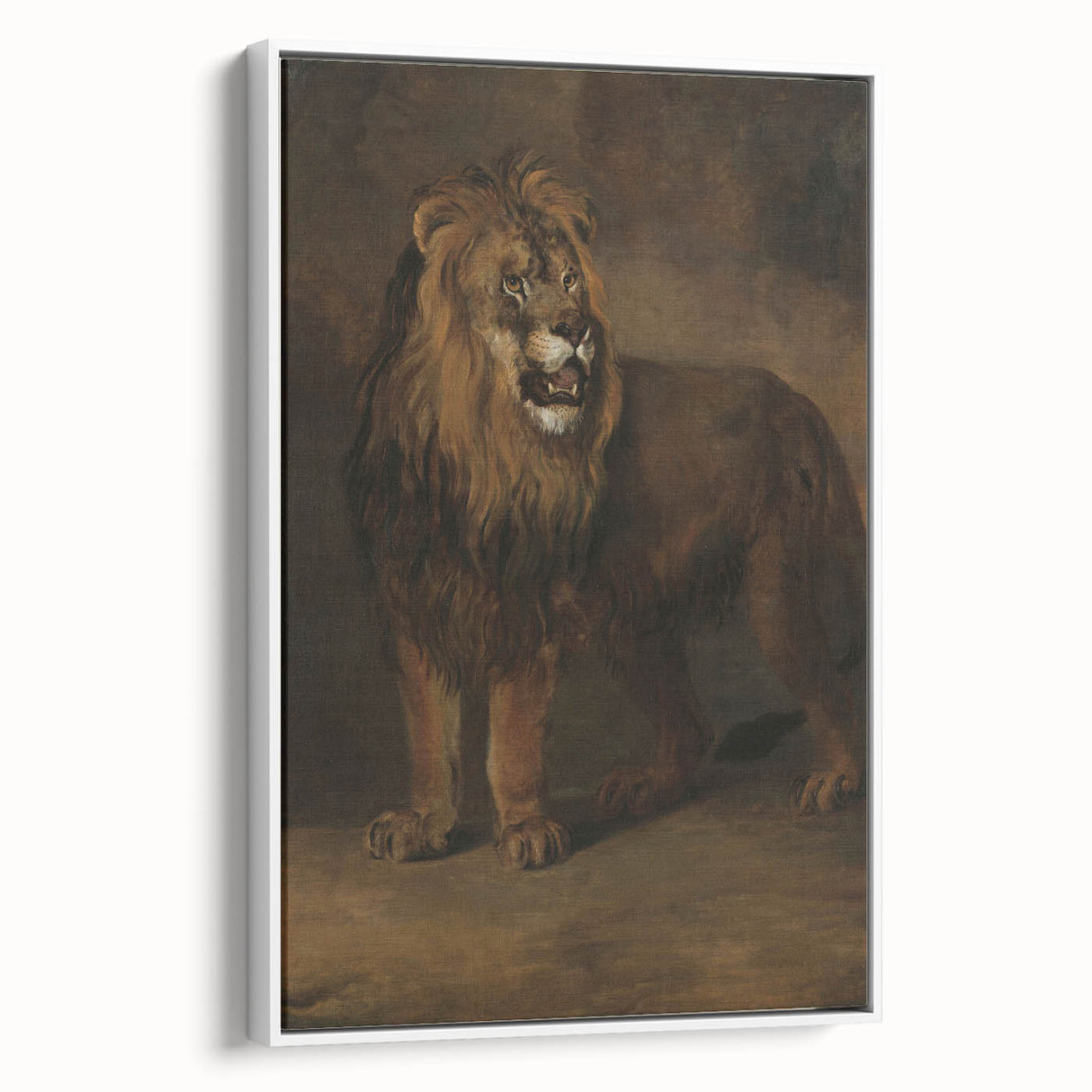Vintage Animal Art - Fierce Lion Antique Wildlife Print