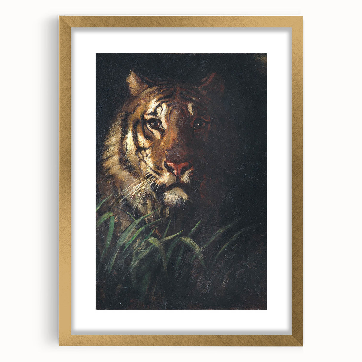Vintage Animal Art - Majestic Tiger in the Grass Antique Print