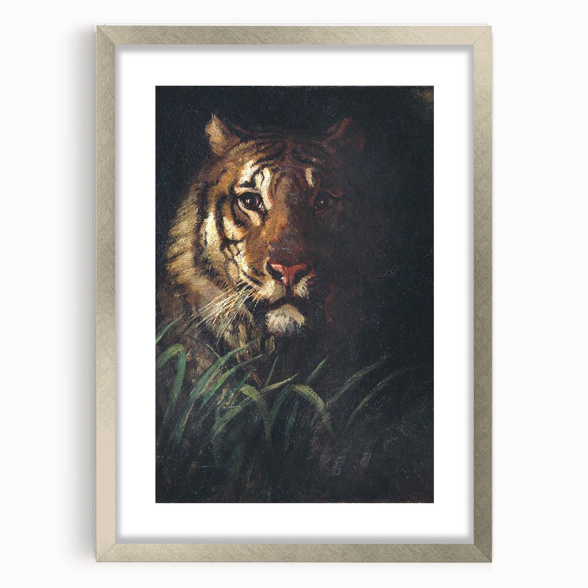 Vintage Animal Art - Majestic Tiger in the Grass Antique Print