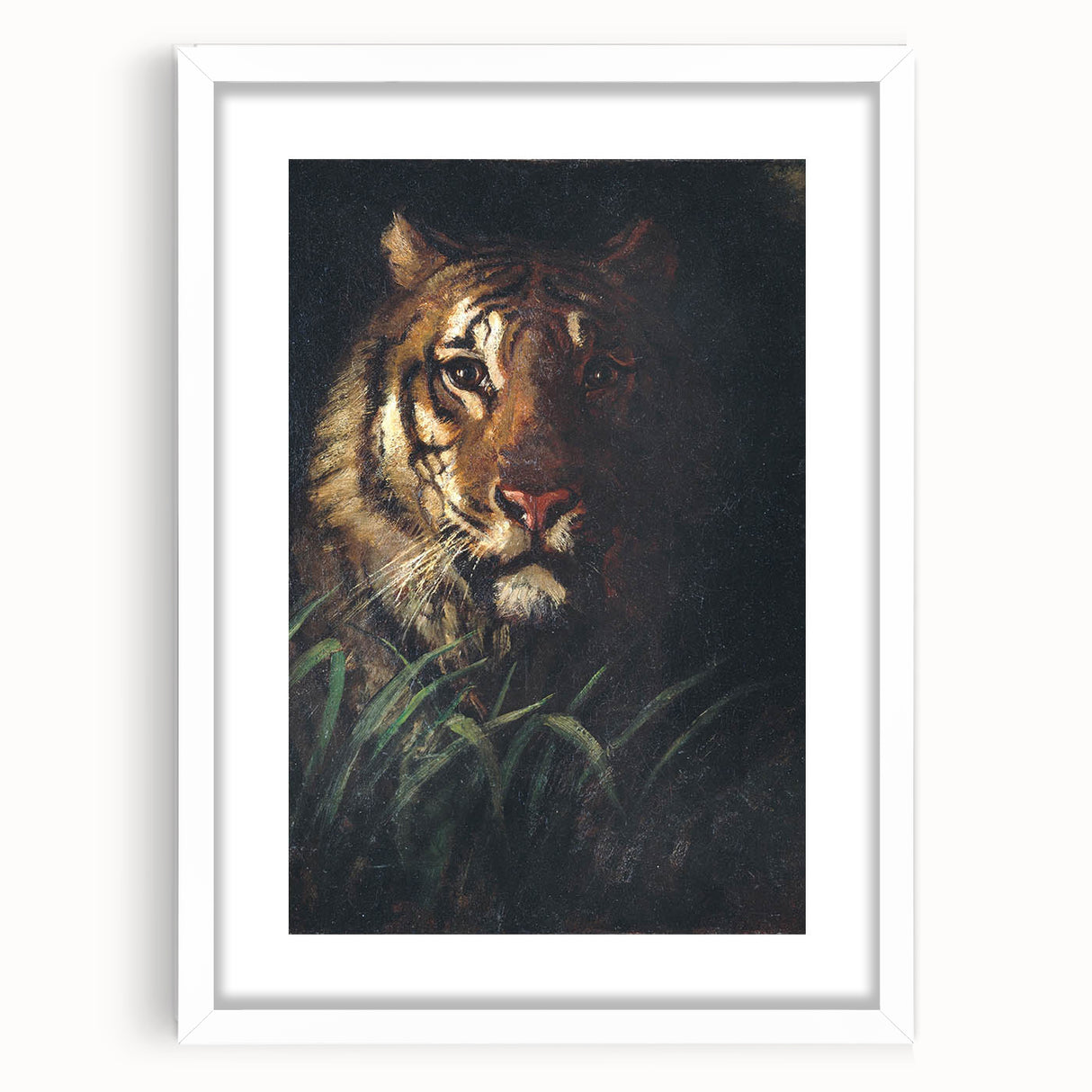 Vintage Animal Art - Majestic Tiger in the Grass Antique Print