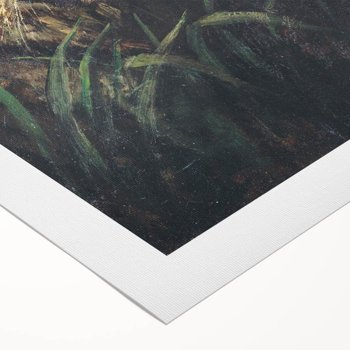 Vintage Animal Art - Majestic Tiger in the Grass Antique Print