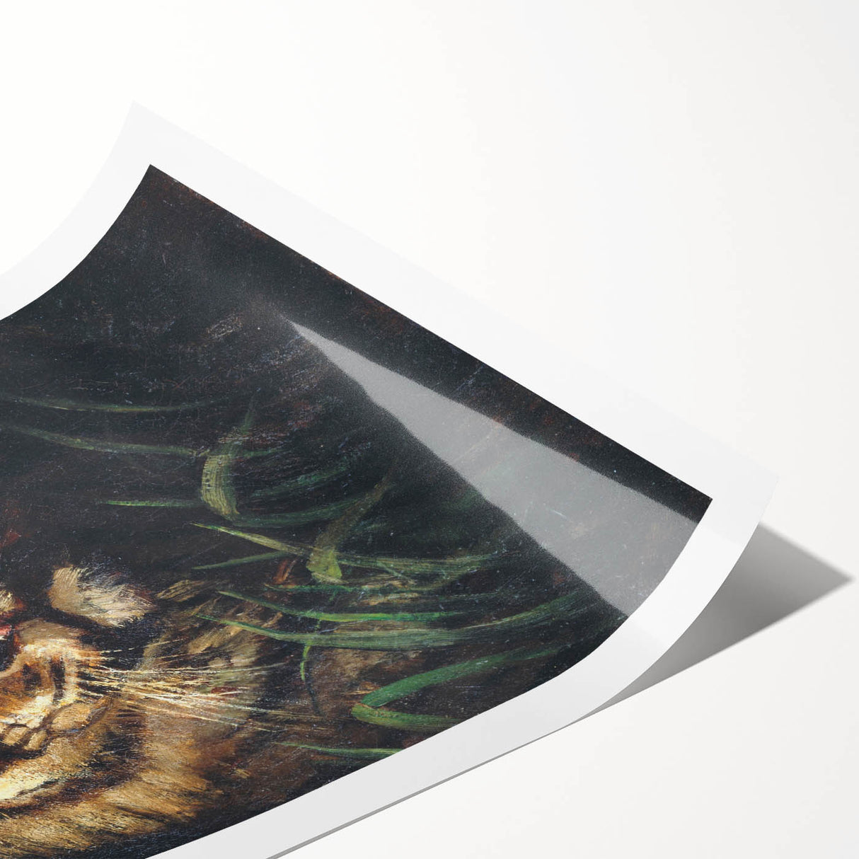 Vintage Animal Art - Majestic Tiger in the Grass Antique Print