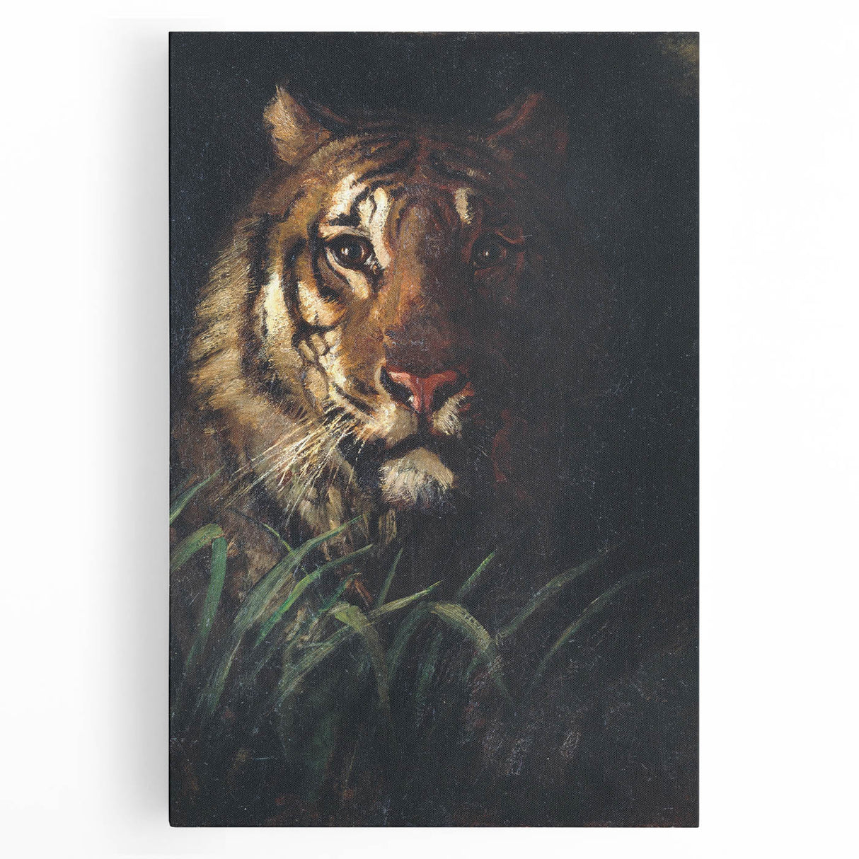 Vintage Animal Art - Majestic Tiger in the Grass Antique Print