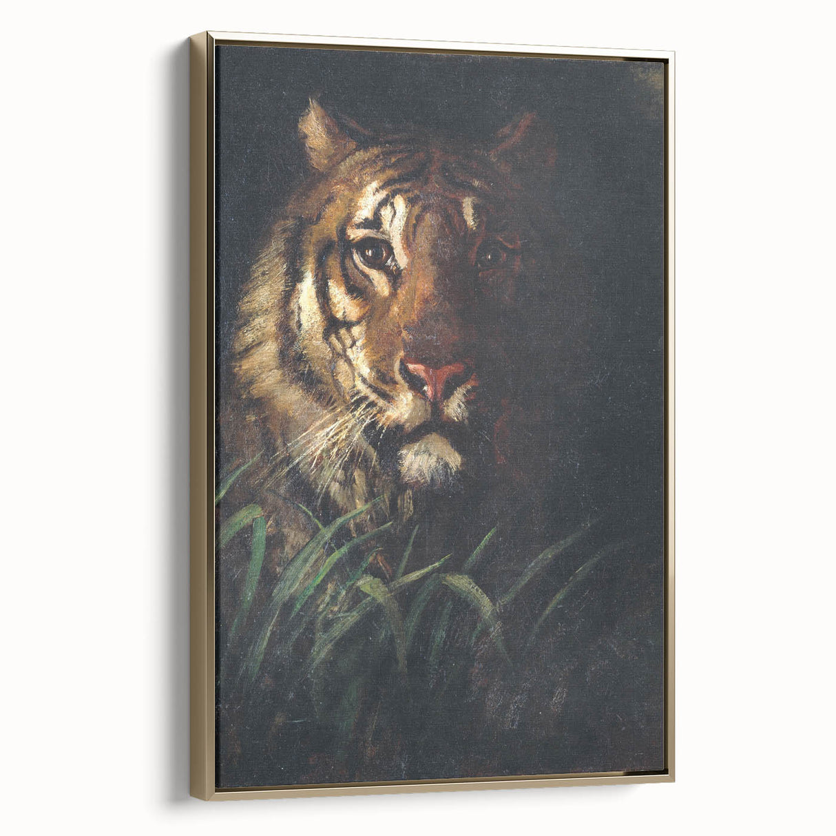 Vintage Animal Art - Majestic Tiger in the Grass Antique Print