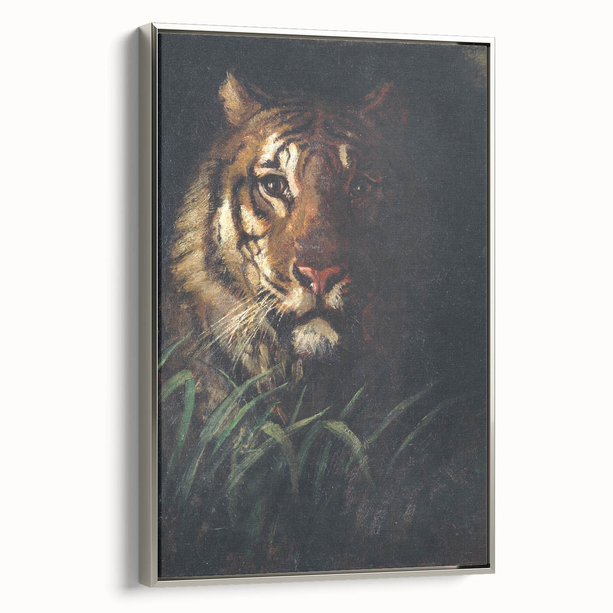 Vintage Animal Art - Majestic Tiger in the Grass Antique Print