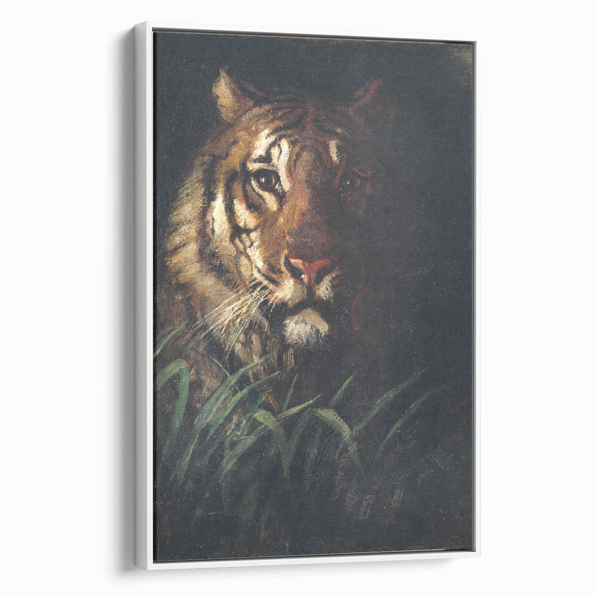 Vintage Animal Art - Majestic Tiger in the Grass Antique Print
