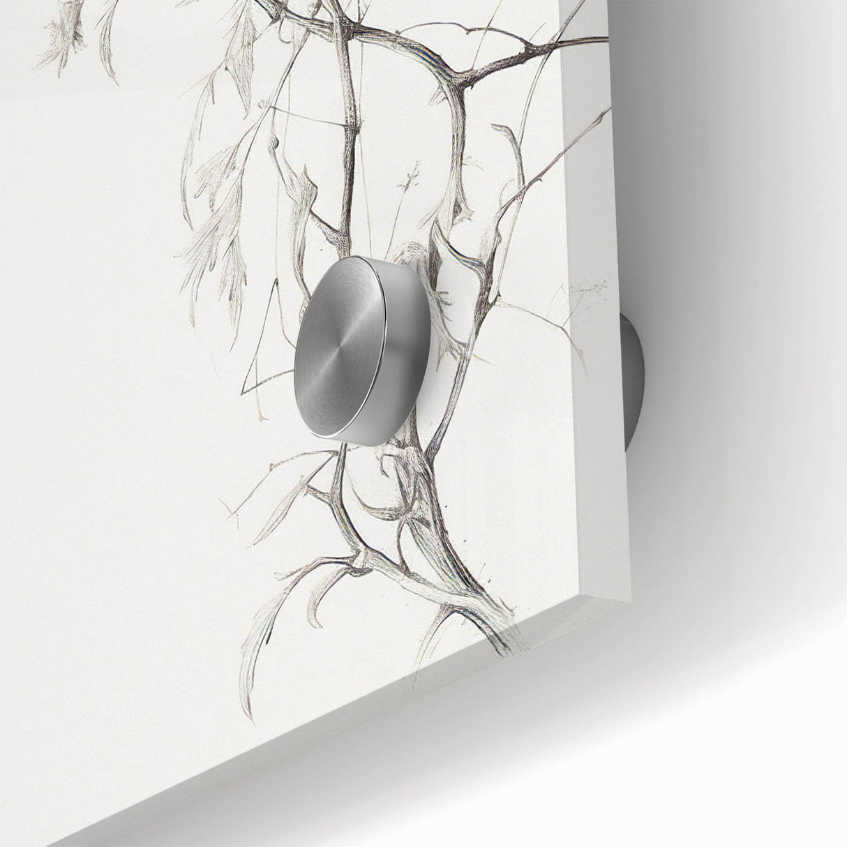 Vintage Botanical Art Prints – Elegant Branch Pencil Drawing