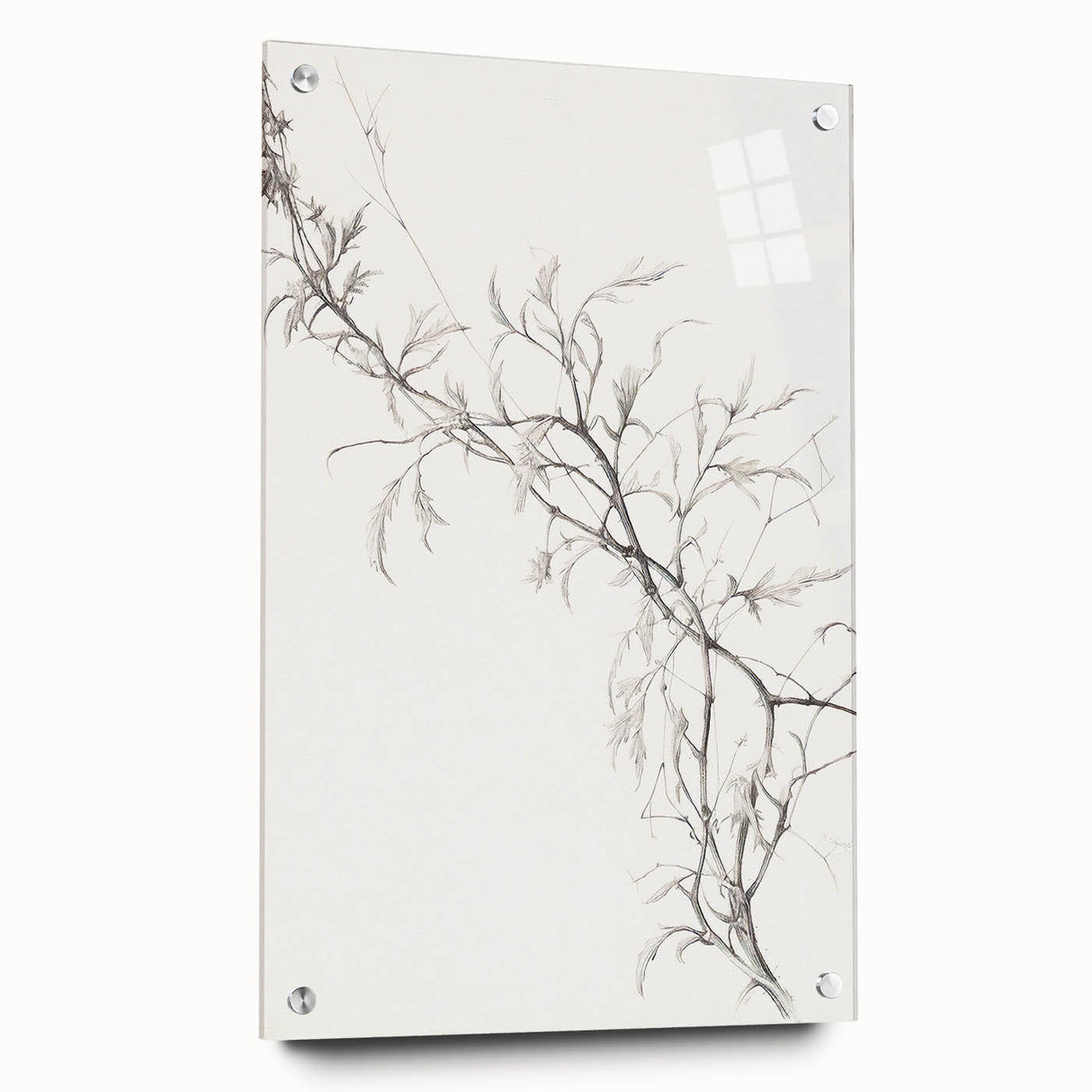 Vintage Botanical Art Prints – Elegant Branch Pencil Drawing