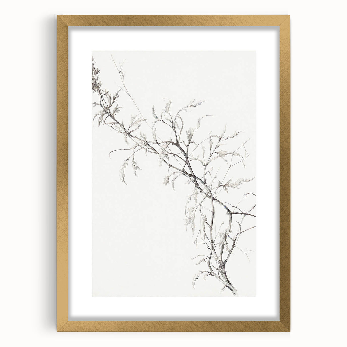 Vintage Botanical Art Prints – Elegant Branch Pencil Drawing