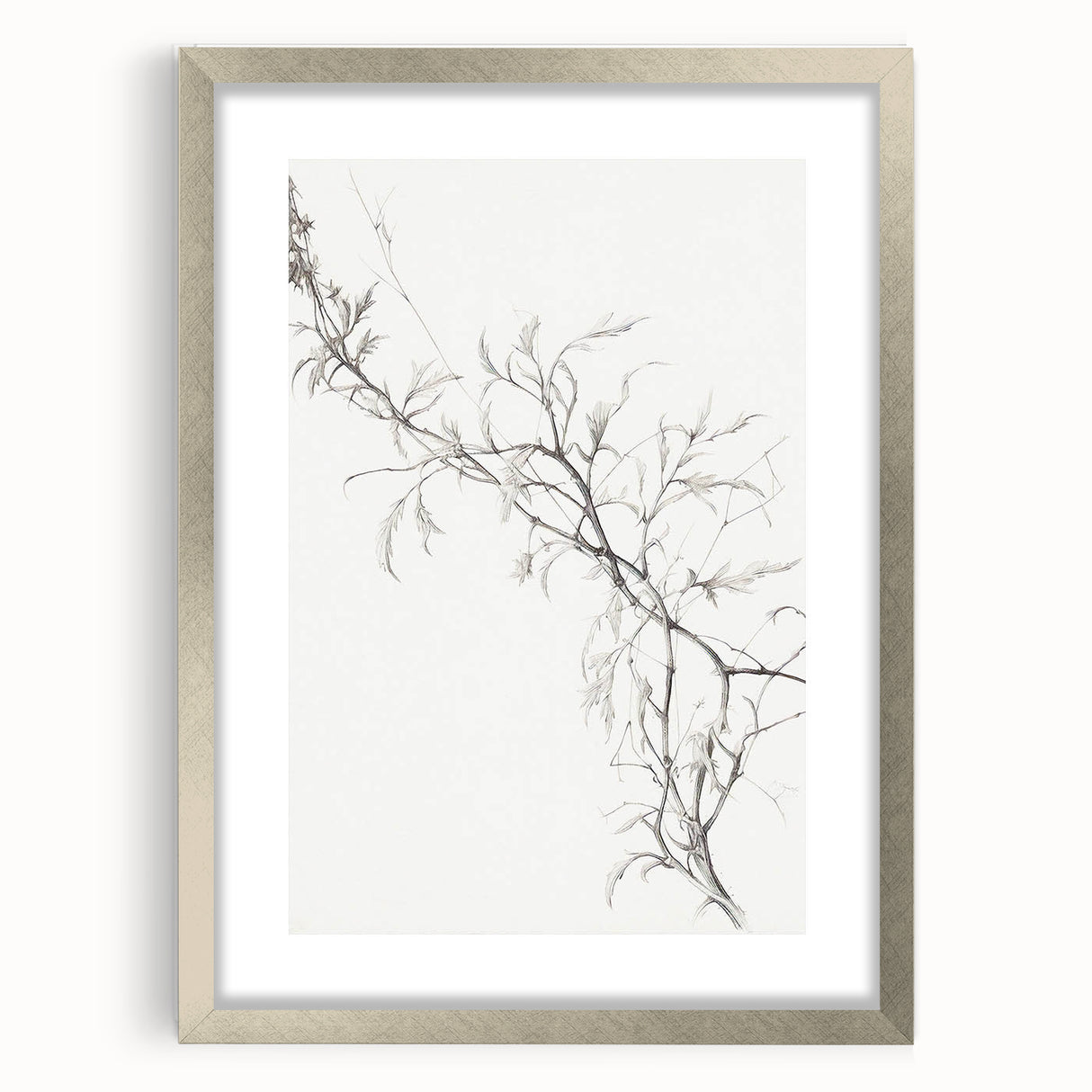 Vintage Botanical Art Prints – Elegant Branch Pencil Drawing