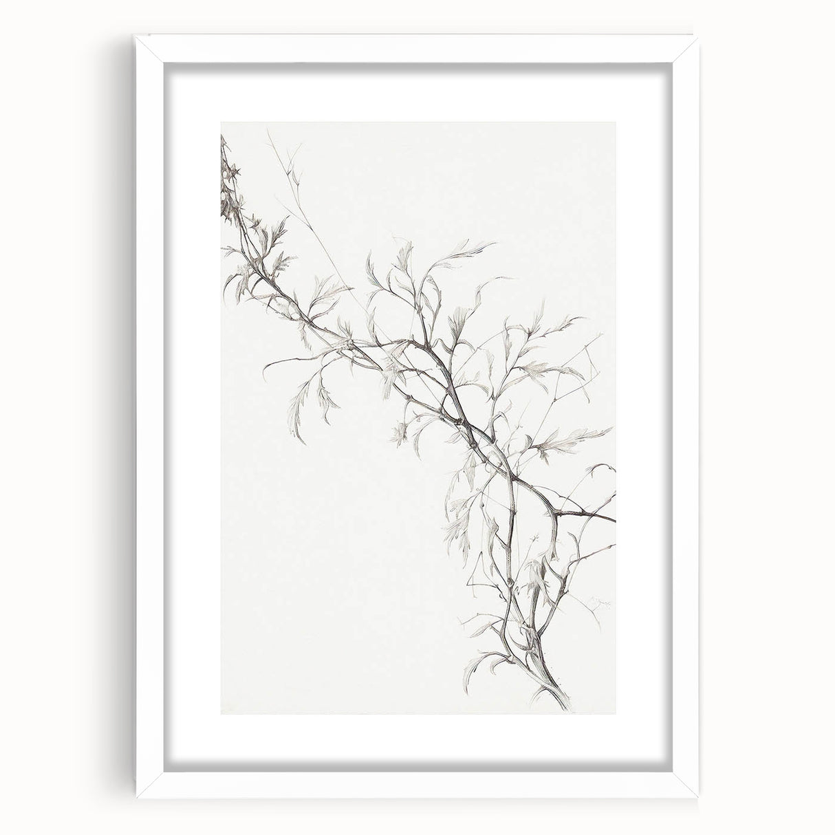 Vintage Botanical Art Prints – Elegant Branch Pencil Drawing
