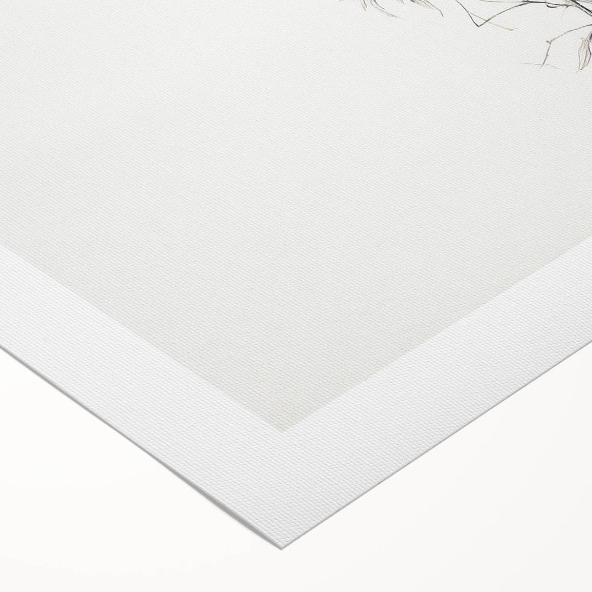 Vintage Botanical Art Prints – Elegant Branch Pencil Drawing