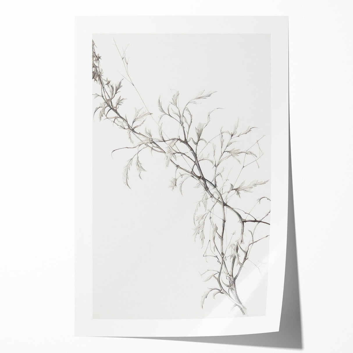 Vintage Botanical Art Prints – Elegant Branch Pencil Drawing