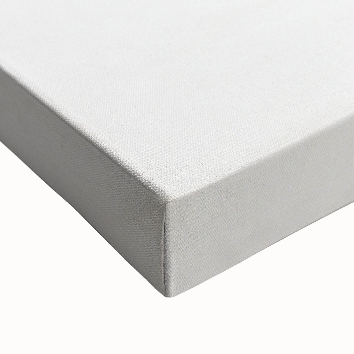 Vintage Botanical Art Prints – Elegant Branch Pencil Drawing