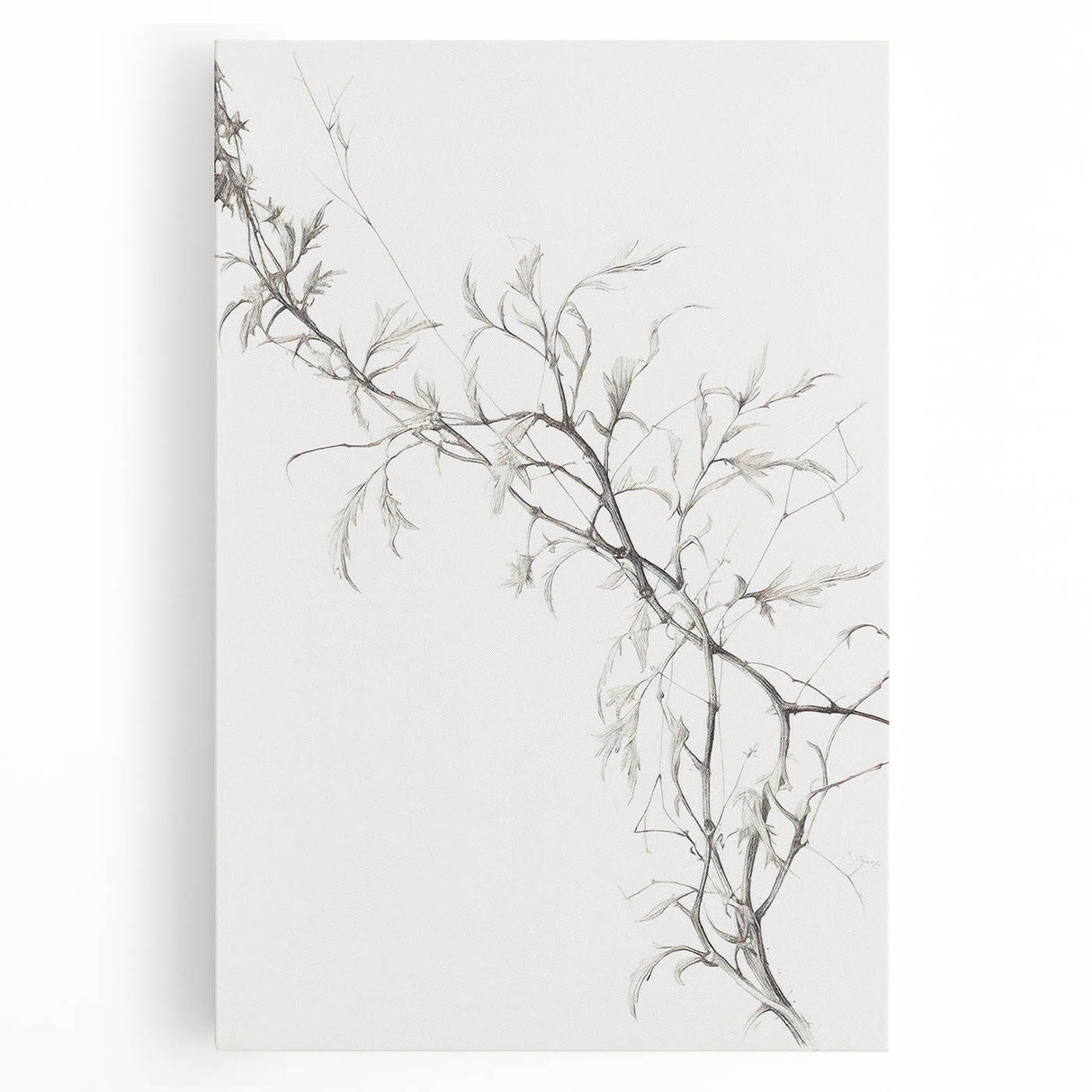 Vintage Botanical Art Prints – Elegant Branch Pencil Drawing