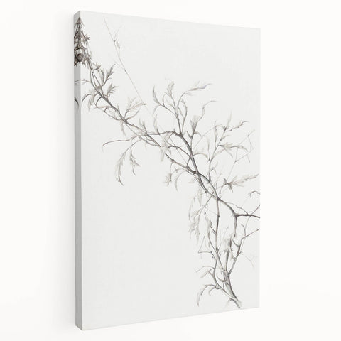 Vintage Botanical Art Prints – Elegant Branch Pencil Drawing