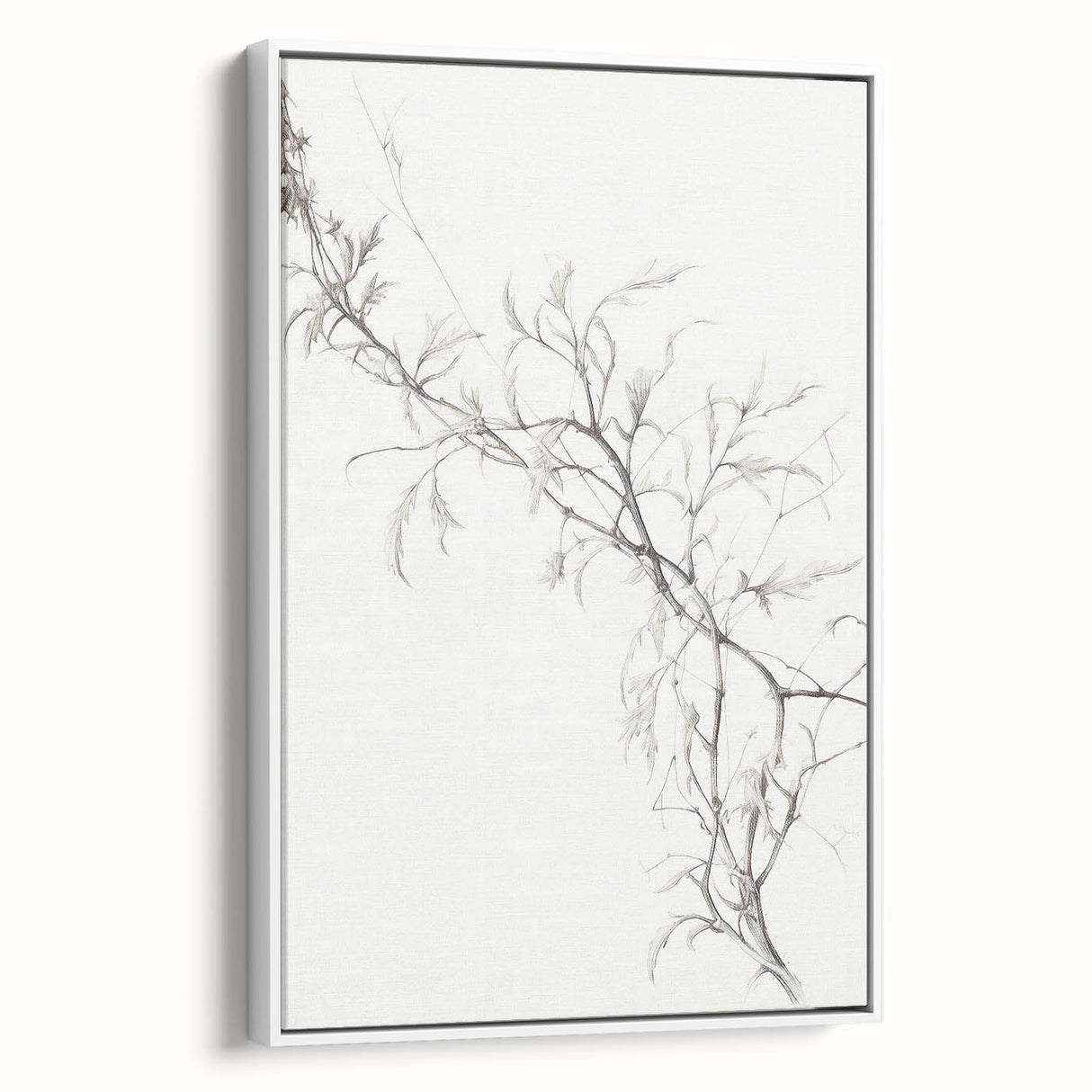 Vintage Botanical Art Prints – Elegant Branch Pencil Drawing