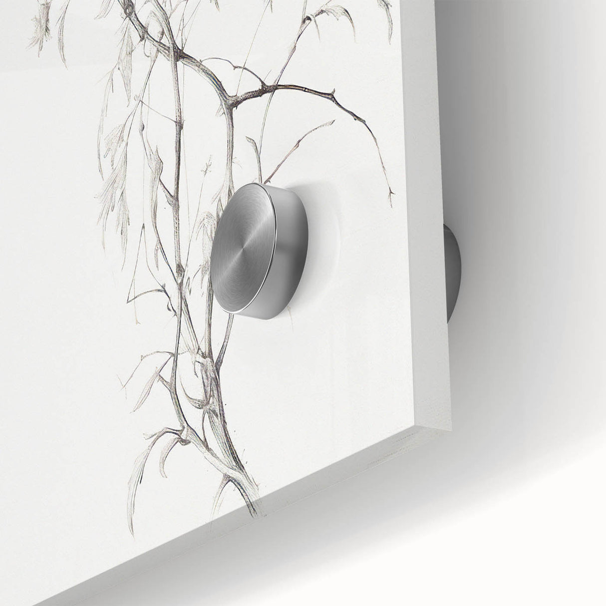 Vintage Botanical Art Prints – Delicate Branch Pencil Drawing