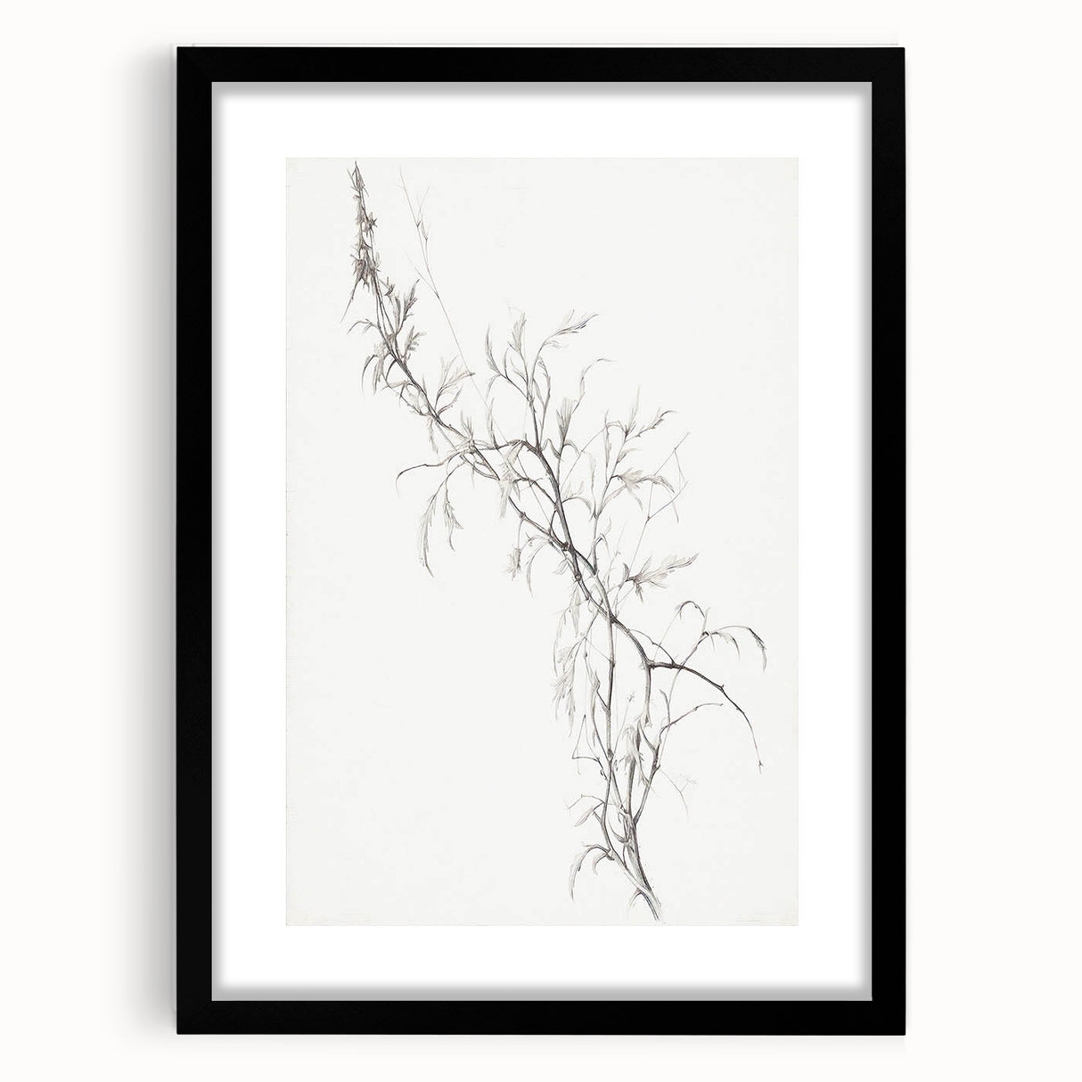 Vintage Botanical Art Prints – Delicate Branch Pencil Drawing