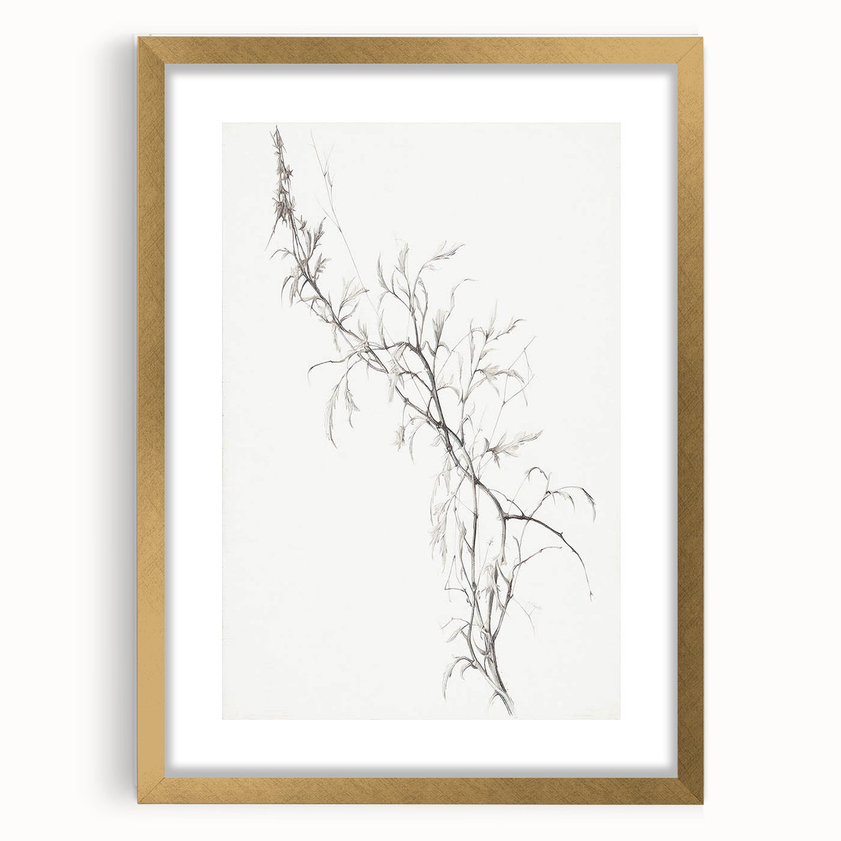 Vintage Botanical Art Prints – Delicate Branch Pencil Drawing