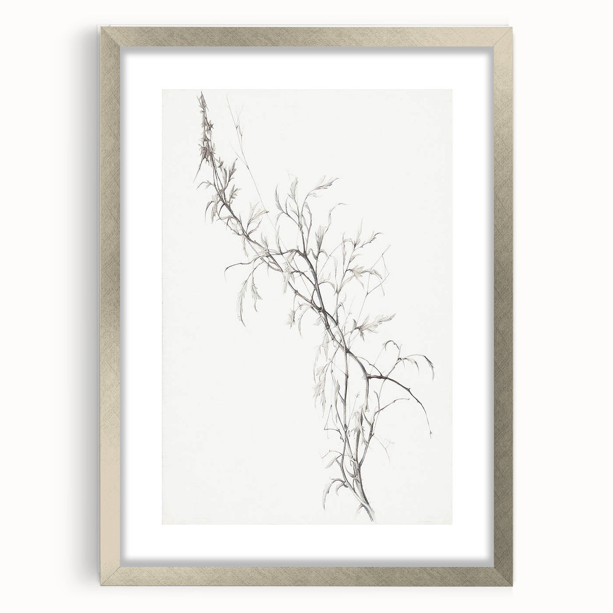Vintage Botanical Art Prints – Delicate Branch Pencil Drawing