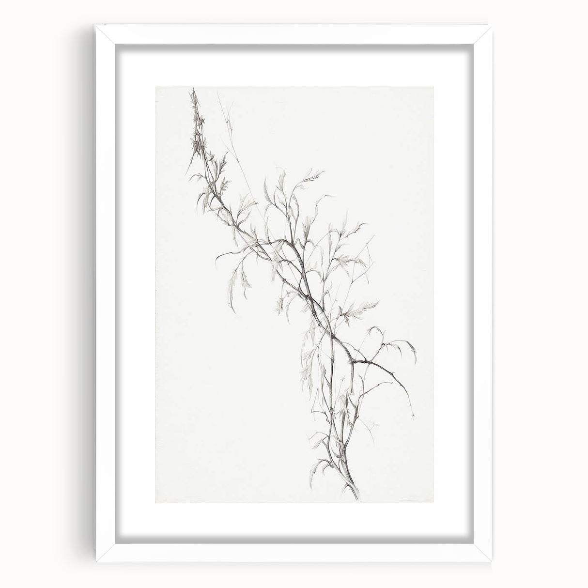 Vintage Botanical Art Prints – Delicate Branch Pencil Drawing