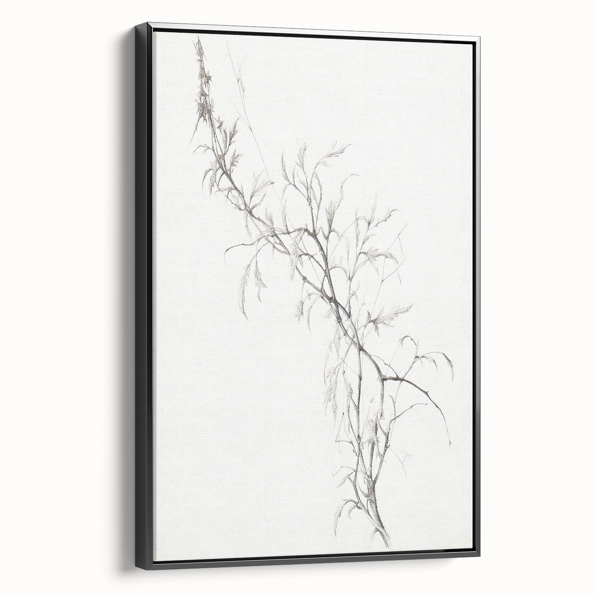 Vintage Botanical Art Prints – Delicate Branch Pencil Drawing