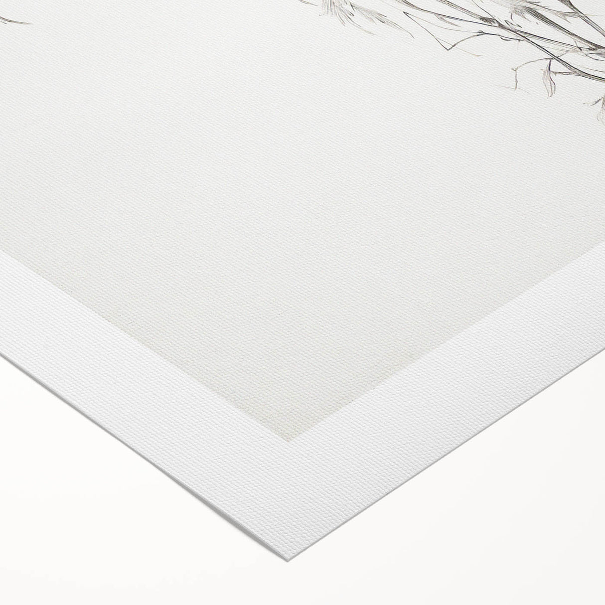 Vintage Botanical Art Prints – Delicate Branch Pencil Drawing