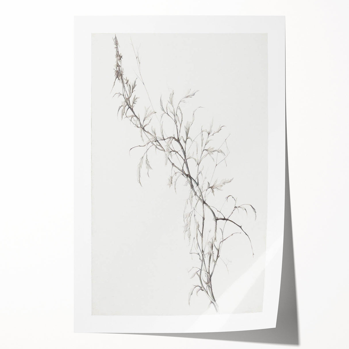 Vintage Botanical Art Prints – Delicate Branch Pencil Drawing
