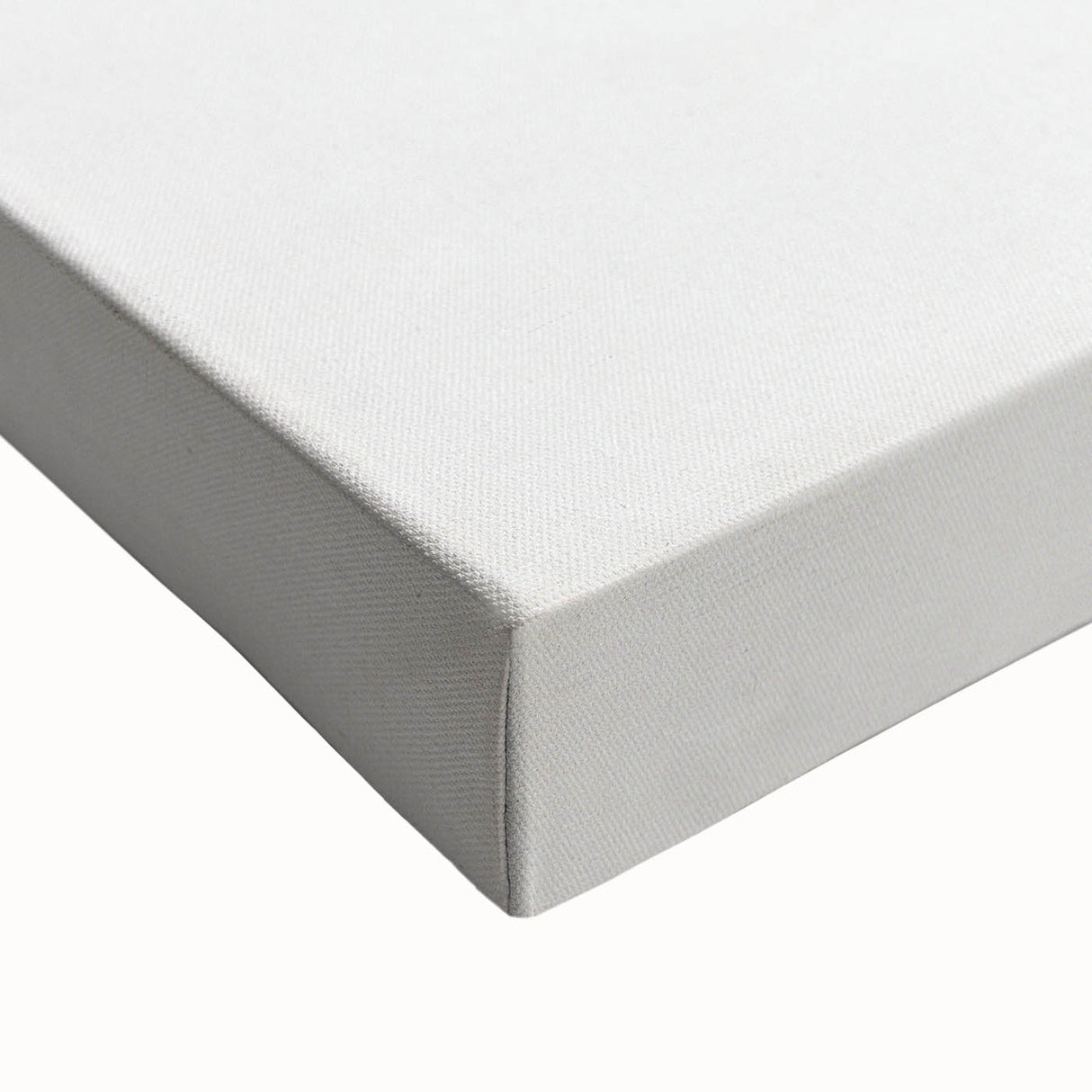 Vintage Botanical Art Prints – Delicate Branch Pencil Drawing