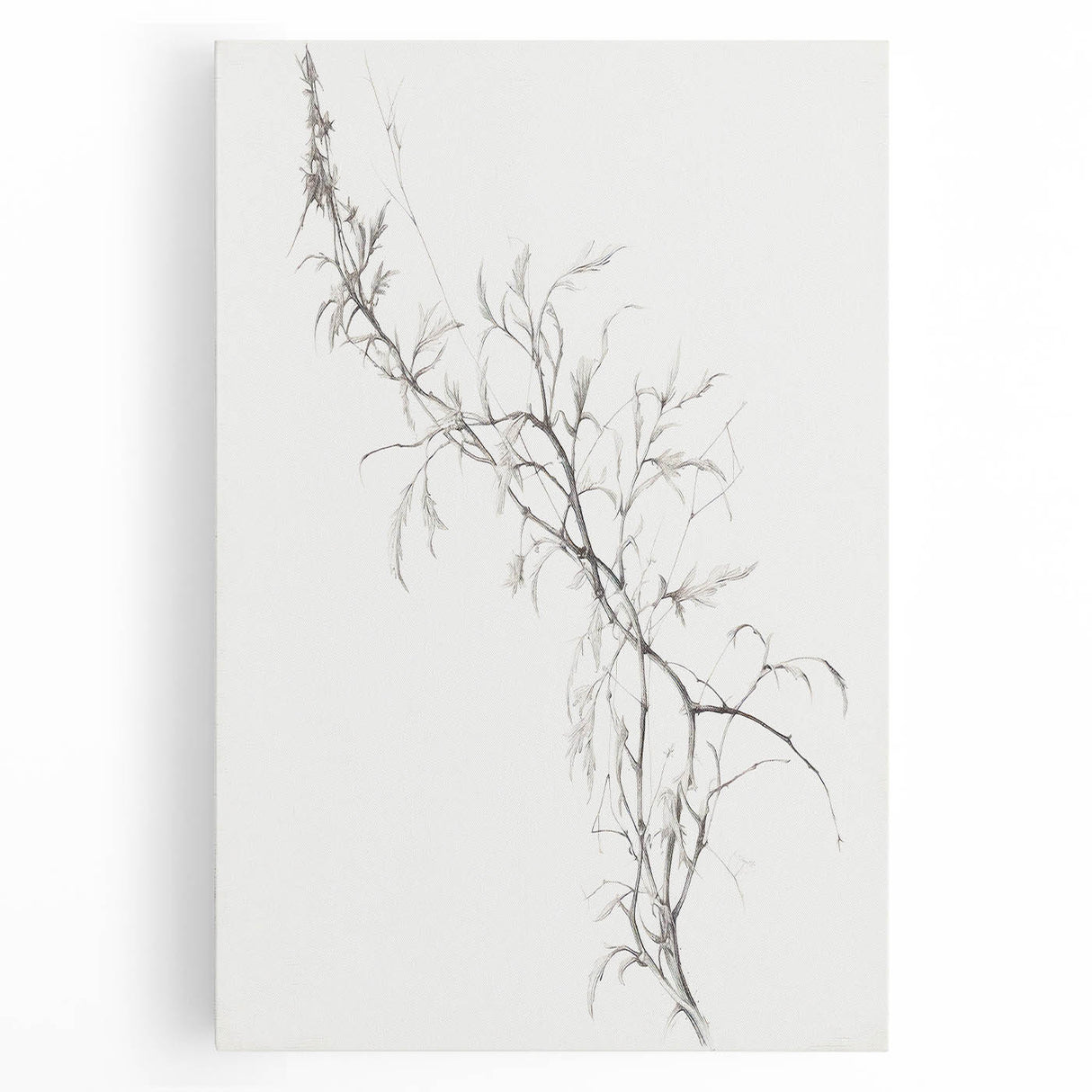 Vintage Botanical Art Prints – Delicate Branch Pencil Drawing