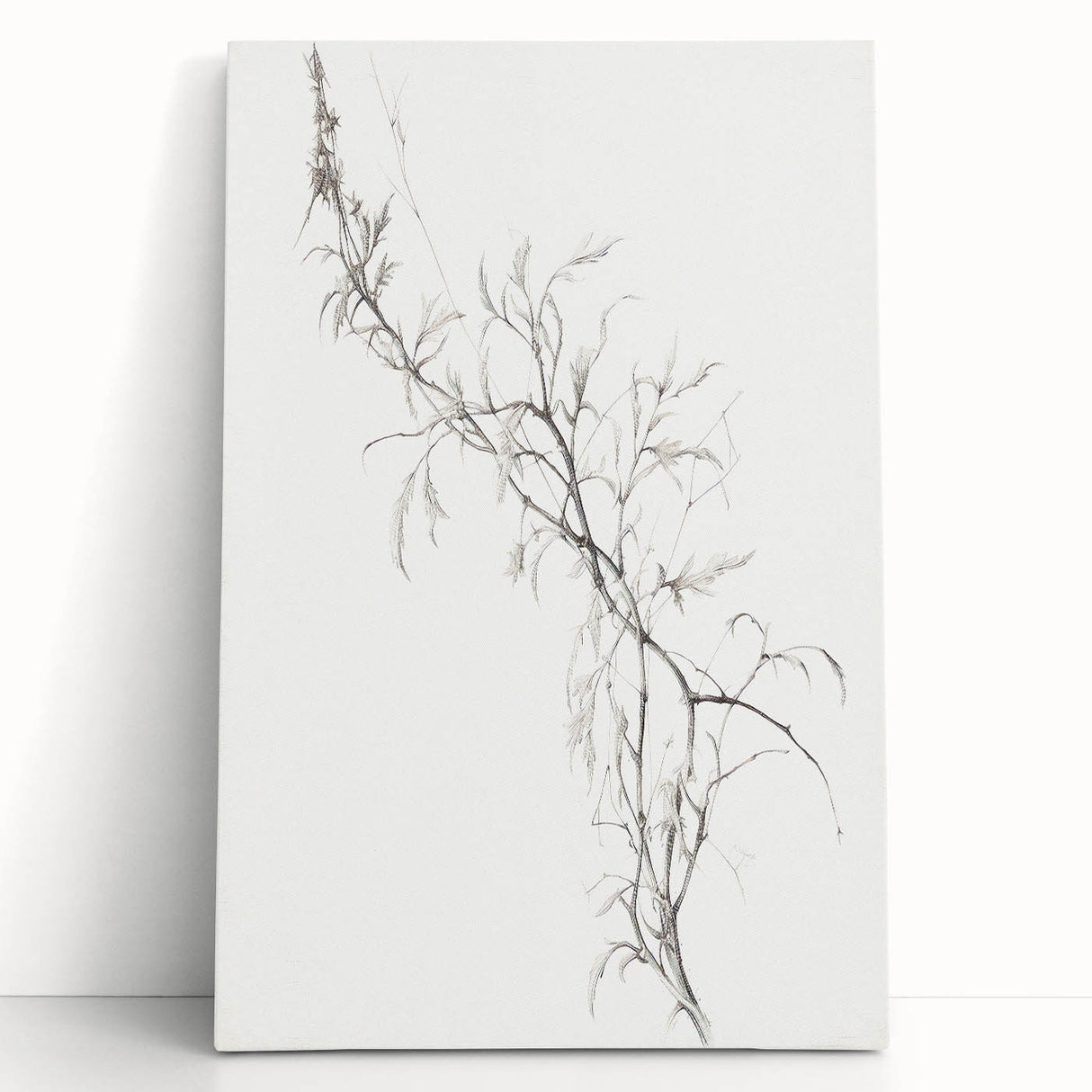 Vintage Botanical Art Prints – Delicate Branch Pencil Drawing