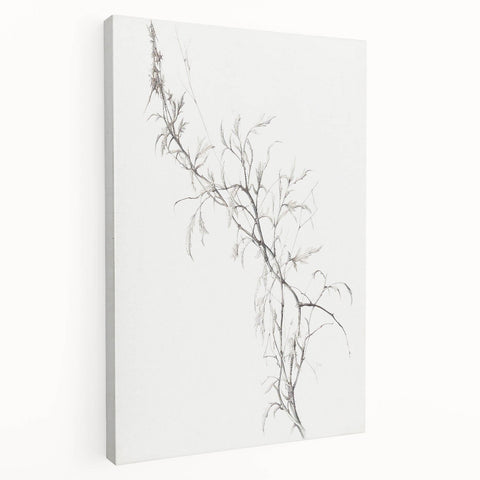 Vintage Botanical Art Prints – Delicate Branch Pencil Drawing