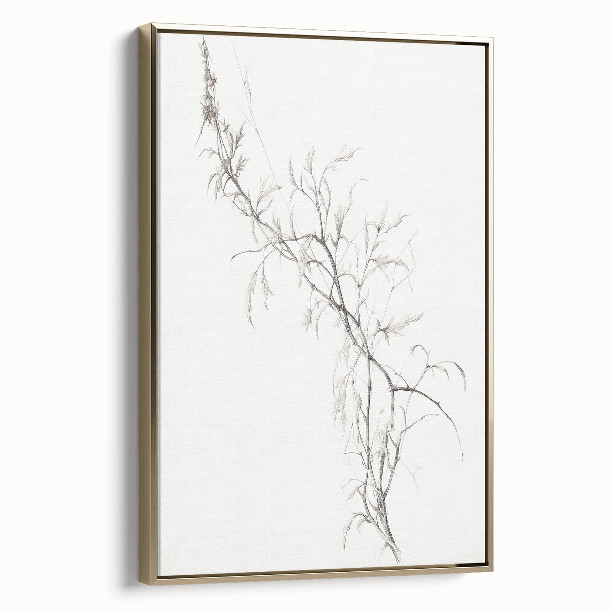 Vintage Botanical Art Prints – Delicate Branch Pencil Drawing