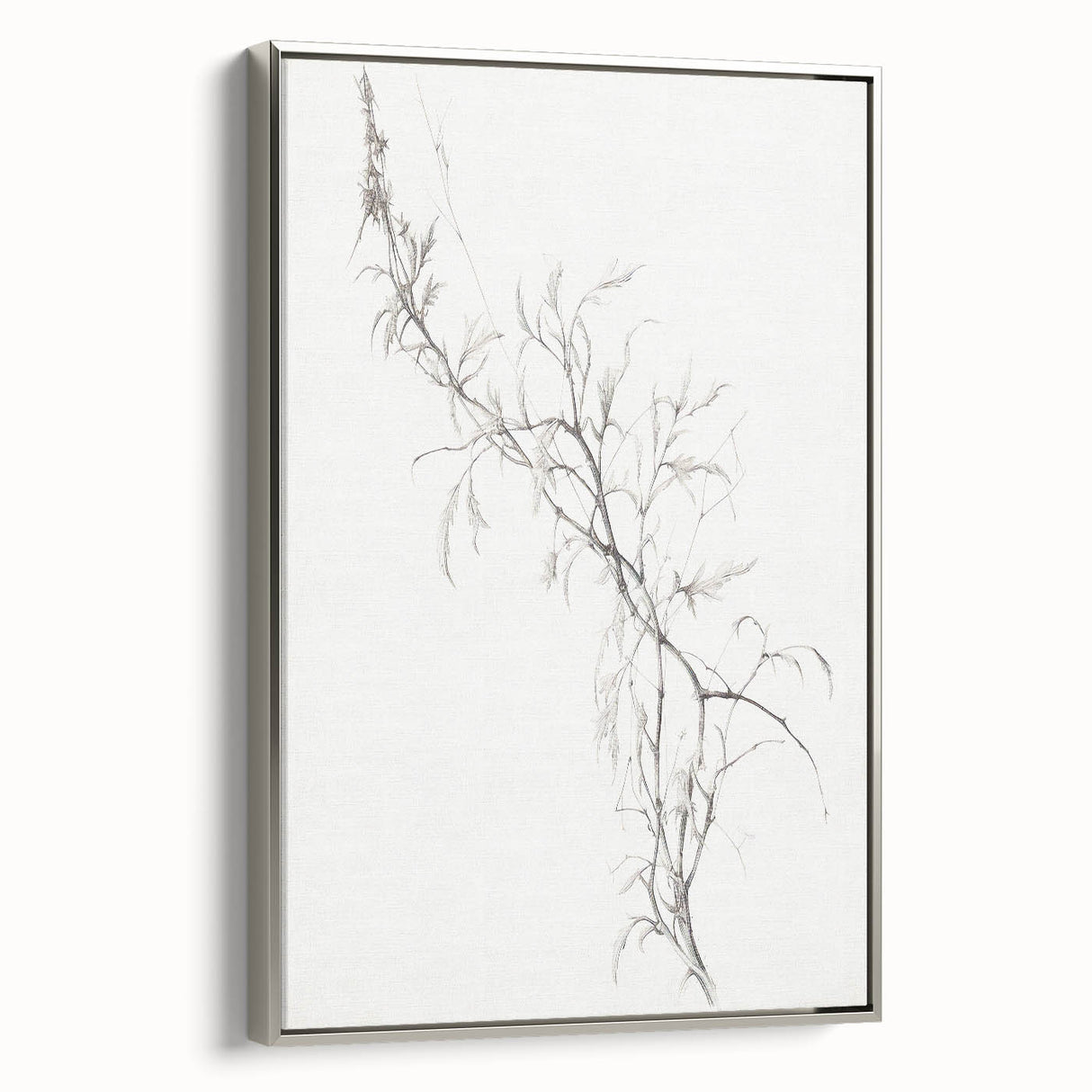 Vintage Botanical Art Prints – Delicate Branch Pencil Drawing