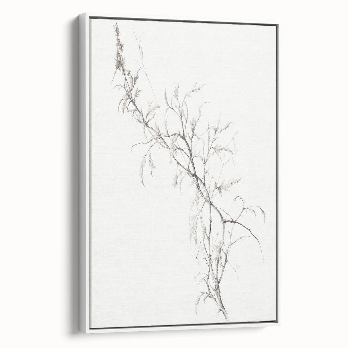 Vintage Botanical Art Prints – Delicate Branch Pencil Drawing