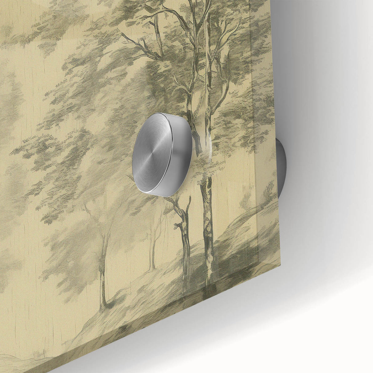 Vintage Botanical Art Prints – Scenic Tree Landscape Drawing