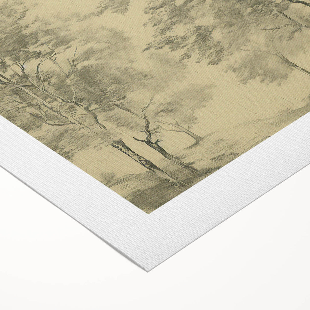 Vintage Botanical Art Prints – Scenic Tree Landscape Drawing