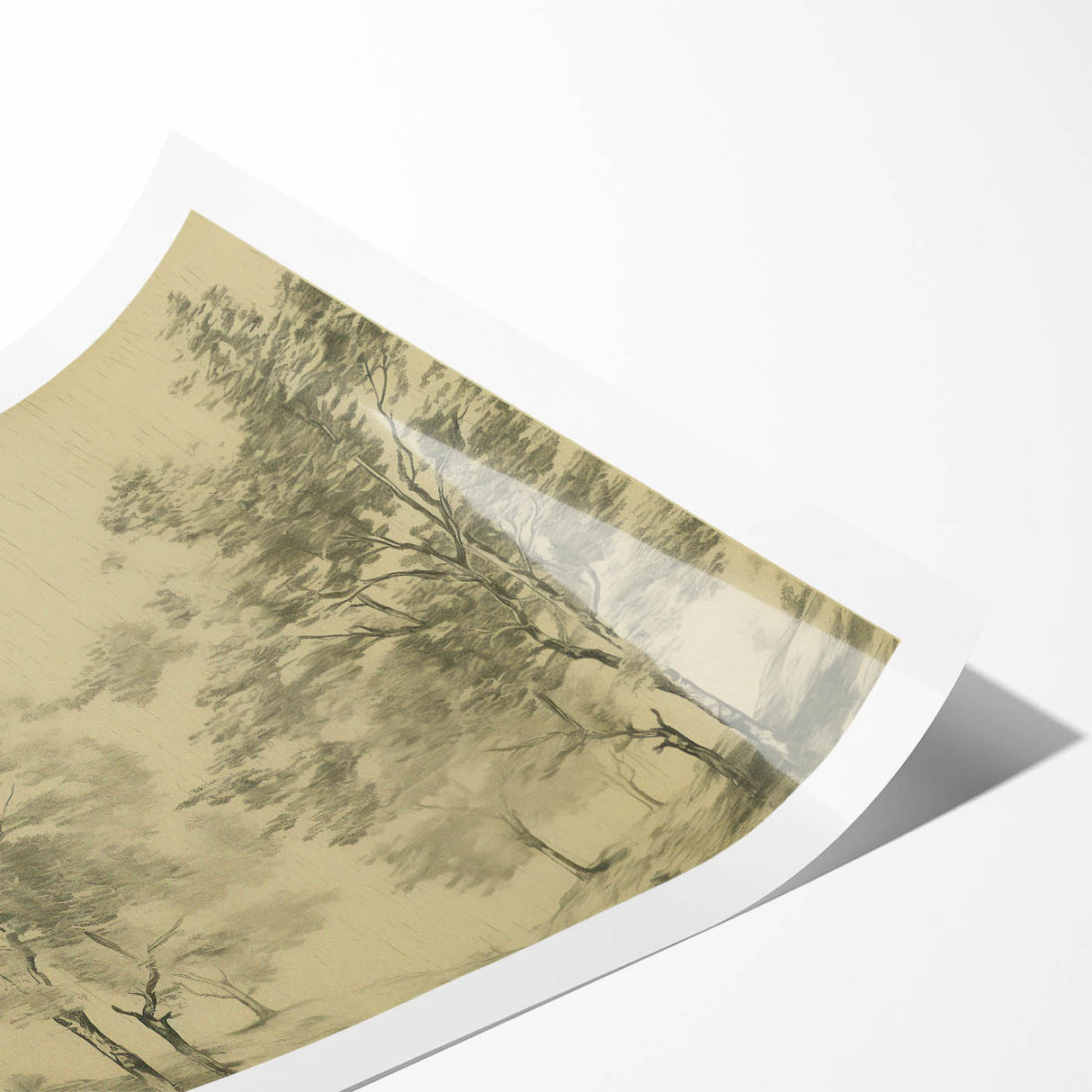 Vintage Botanical Art Prints – Scenic Tree Landscape Drawing