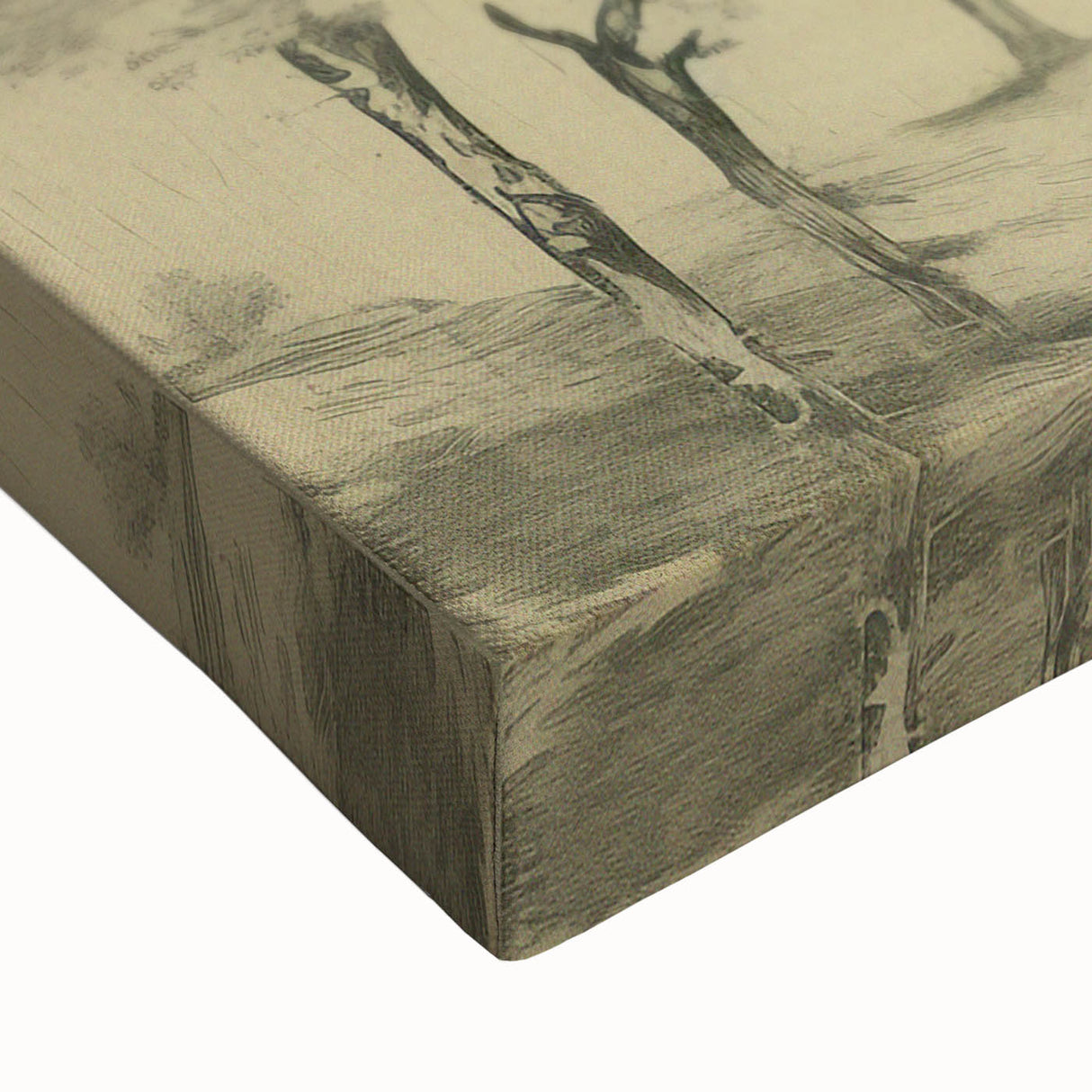 Vintage Botanical Art Prints – Scenic Tree Landscape Drawing