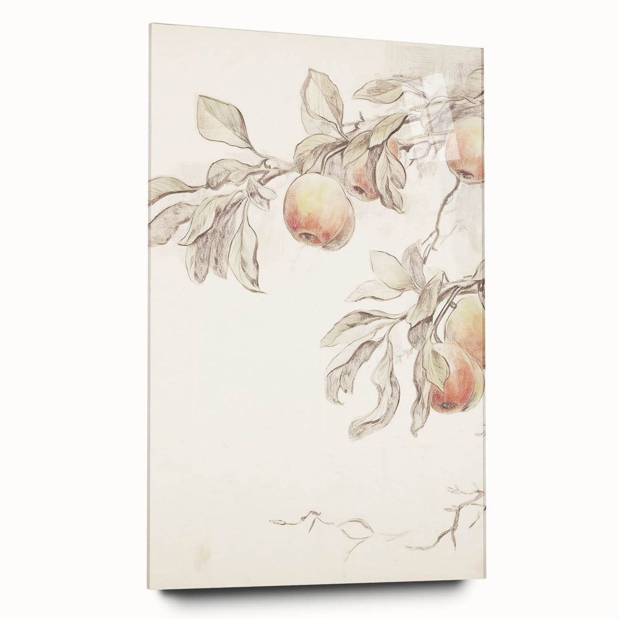 Vintage Botanical Art Prints – Apple Branch Pencil Drawing