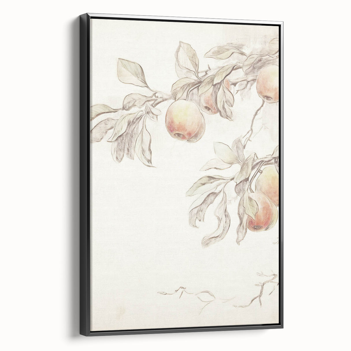 Vintage Botanical Art Prints – Apple Branch Pencil Drawing