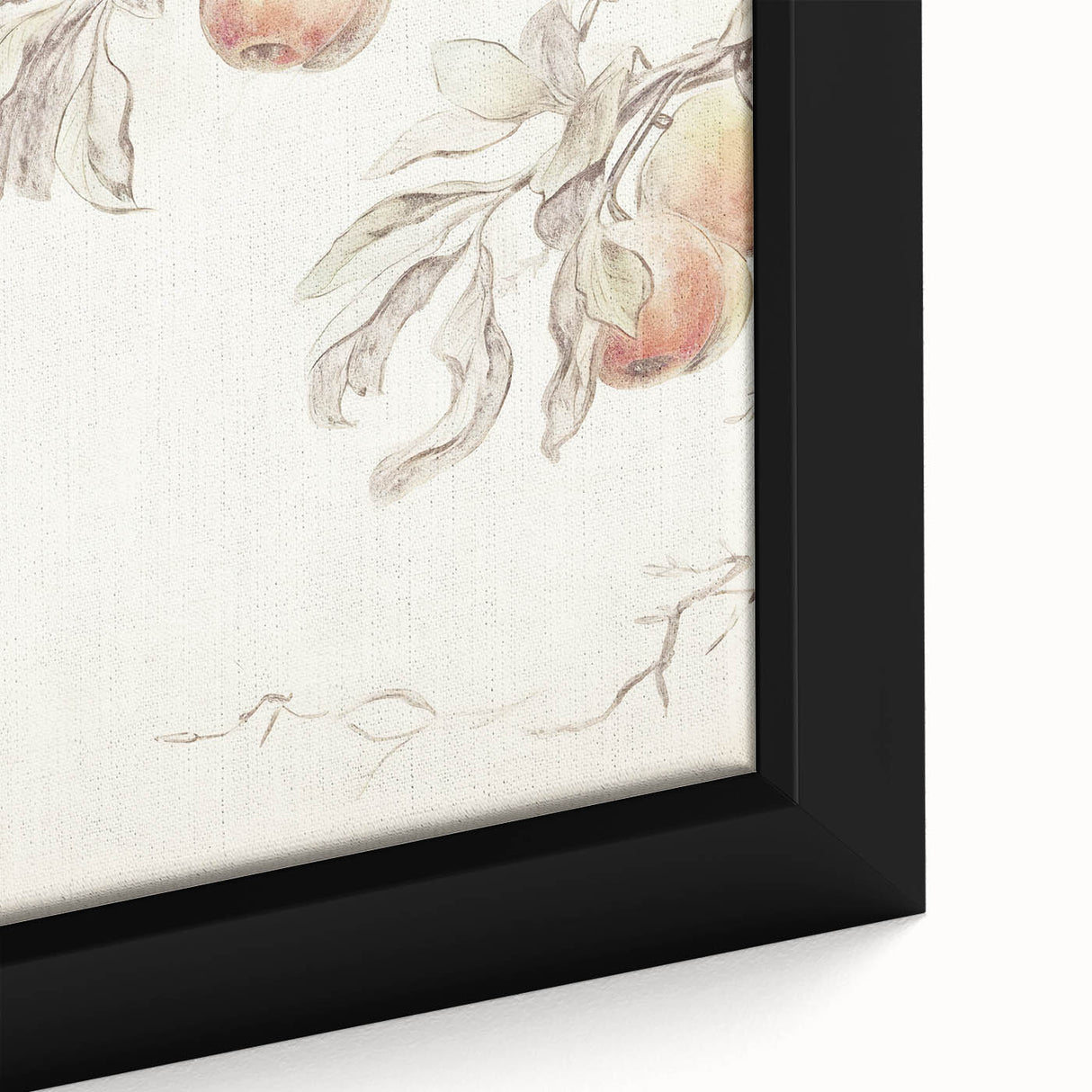 Vintage Botanical Art Prints – Apple Branch Pencil Drawing