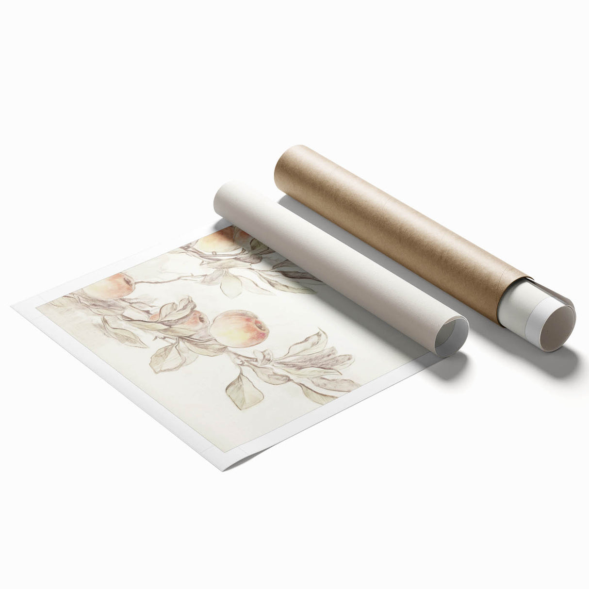 Vintage Botanical Art Prints – Apple Branch Pencil Drawing