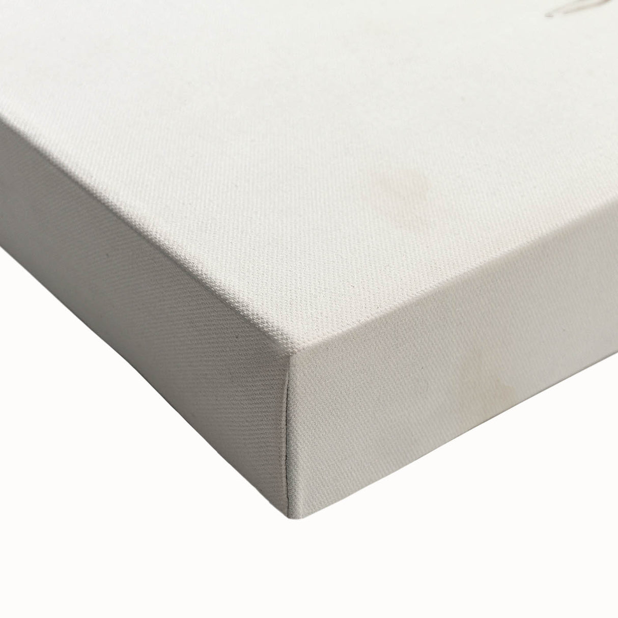 Vintage Botanical Art Prints – Apple Branch Pencil Drawing