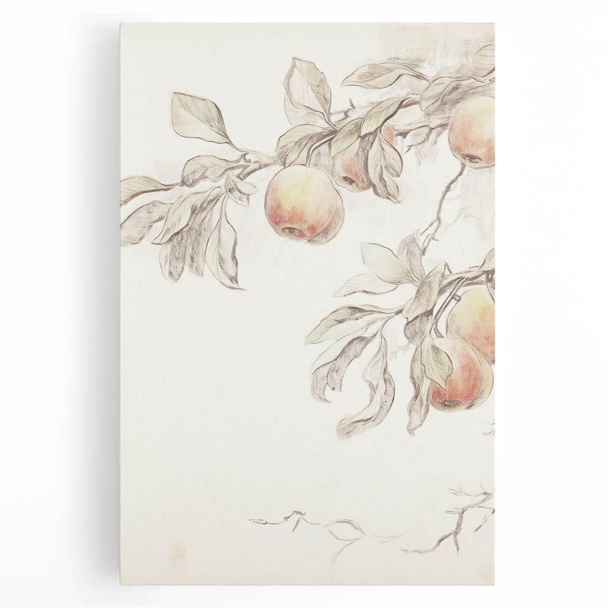 Vintage Botanical Art Prints – Apple Branch Pencil Drawing
