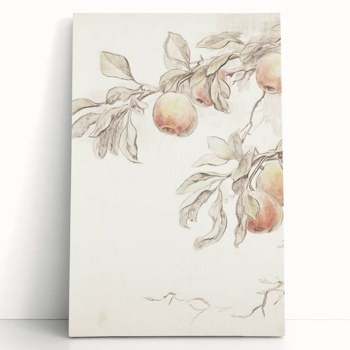 Vintage Botanical Art Prints – Apple Branch Pencil Drawing