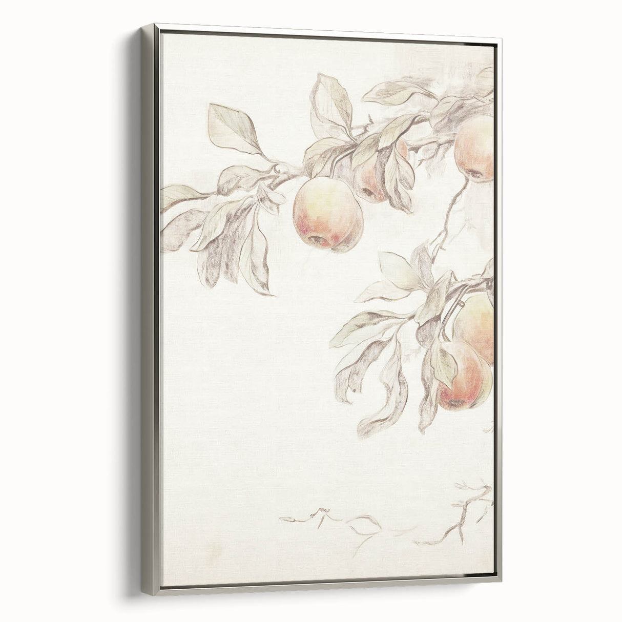 Vintage Botanical Art Prints – Apple Branch Pencil Drawing