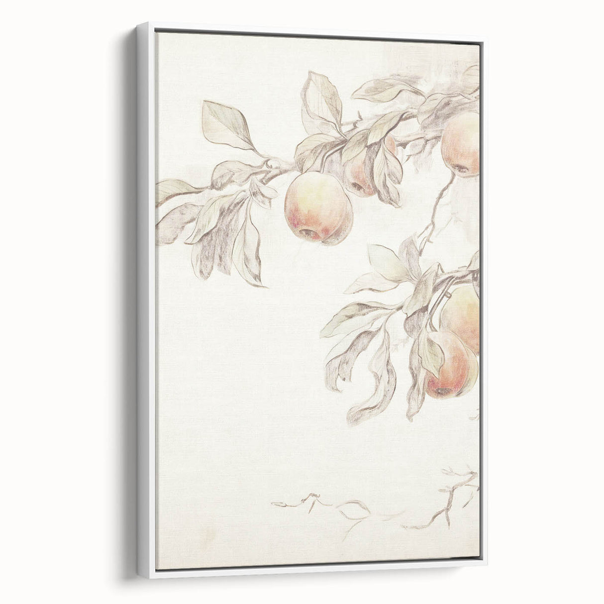 Vintage Botanical Art Prints – Apple Branch Pencil Drawing