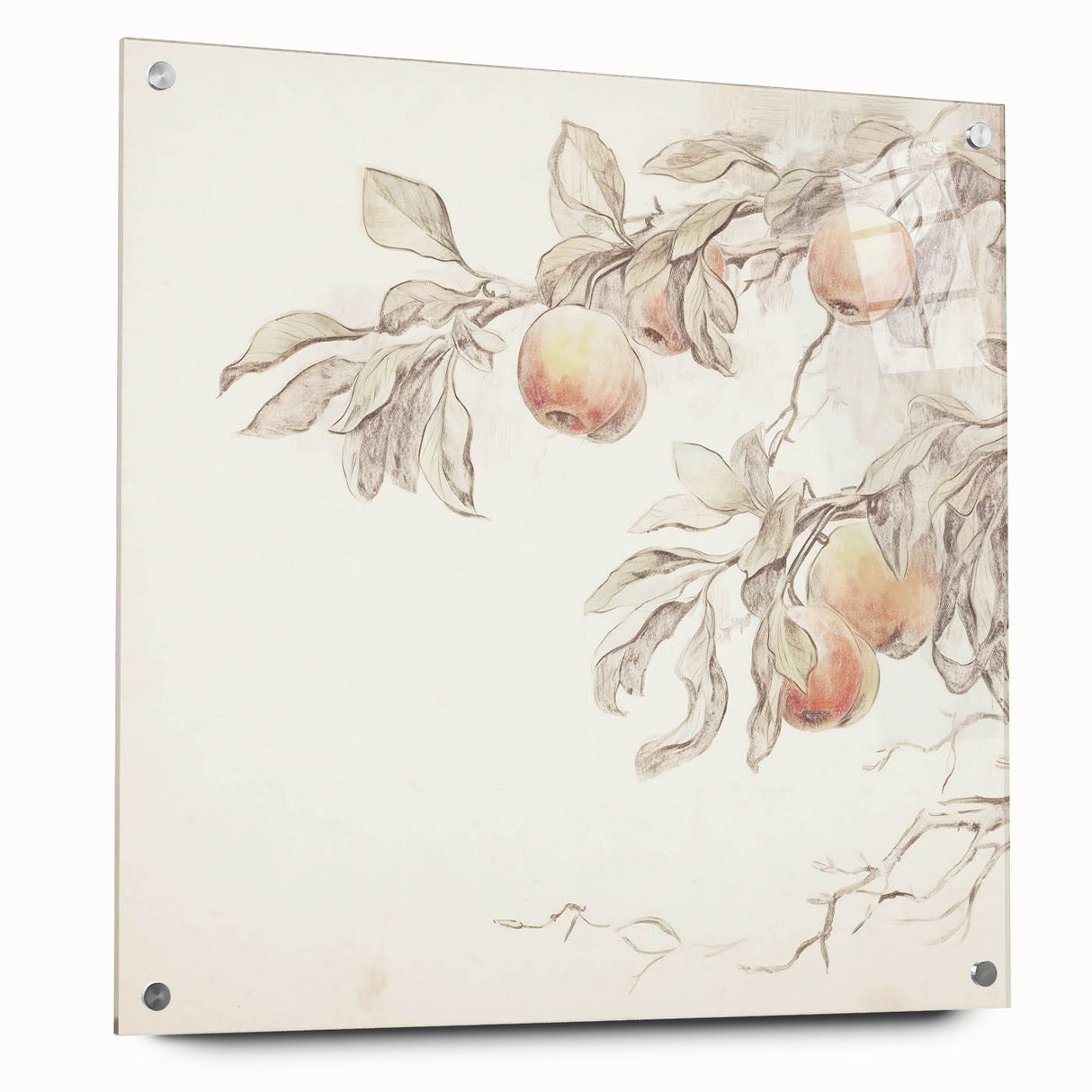 Vintage Botanical Art Prints – Apple Branch Pencil Drawing